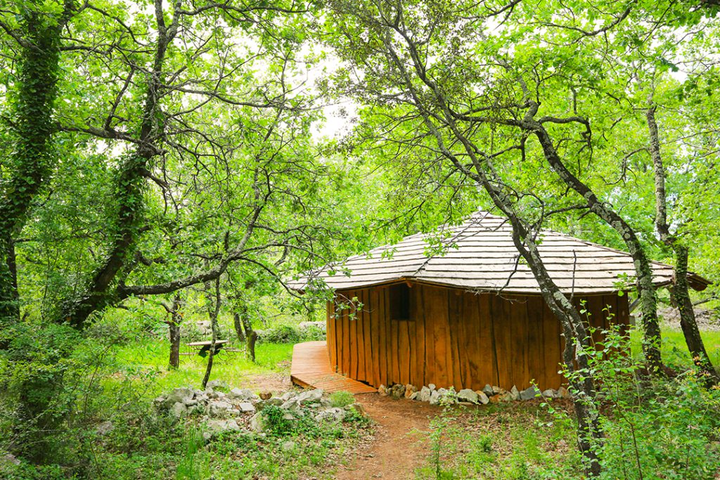 Hébergement atypique dans l'Hérault cabane sous les arbres