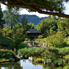 bambouseraie-en-cevennes (1)