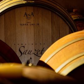 domaine-de-sauzet-vignoble (1)