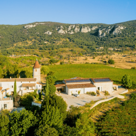 domaine-de-sauzet-vignoble (1)