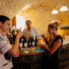 domaine-de-sauzet-vignoble (2)