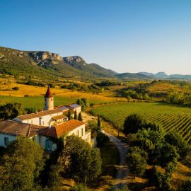 domaine-de-sauzet-vignoble (4)