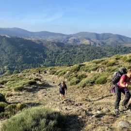 mont-aigoual (5)