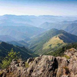 mont-aigoual (6)