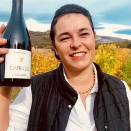 terre-des-2-sources-vignoble (1)