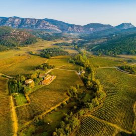 terre-des-2-sources-vignoble (3)